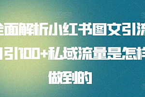 暴力引流 小红书图文引流日引100私域全面拆解【打粉人必看】