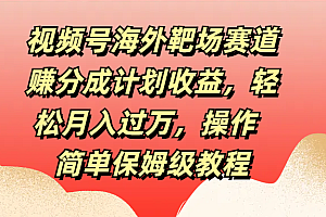 视频号海外靶场赛道赚分成计划收益,轻松月入过万,操作简单保姆级教程