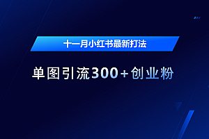 十一月,小红书最新打法,单图引流300+创业粉