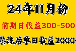 轻资产项目,前期日收益500左右,后期日收益1500-2000左右,多劳多得