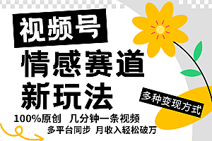 视频号情感赛道全新玩法,日入500+,5分钟一条原创视频,操作简单易上手,