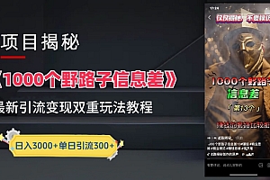 【独家】抖音一千个野路子信息差最新玩法教程–引流+变现