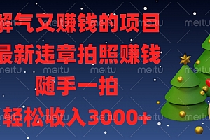 最新违章拍照赚钱,随手一拍,解气又赚钱的项目,轻松收入3000+