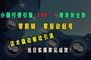 小额付费引爆 300 + 精准创业粉,零剪辑、零复杂起号,话术撬动被动引流,当日实操即见成效!