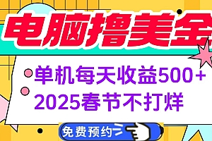 电脑撸美金单机每天收益500+,2025春节不打烊