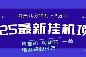 2025最新挂机项目 每天几分钟 一台电脑轻松上万