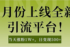 1月上线全新引流平台,当天涨粉1W+,日变现500+工具无脑涨粉,解放双手操作简单