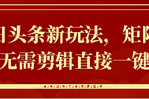 今日头条新玩法,矩阵操作,无需剪辑直接一键转发