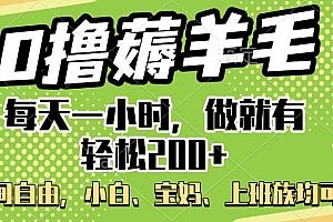 0撸薅羊毛项目,每天一小时,做就有轻松200+,宝妈、小白上班族均可做