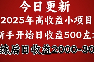 2025开年好项目,新手日收益500+ 熟练掌握后,日收益平均2000多