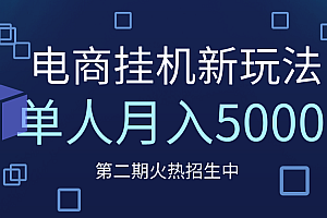 电商平台挂机新玩法,单人月入5000+攻略