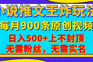 小说推文王炸玩法,一键代发,每月最多领900条原创视频,播放量收益日入500+上不封顶,无需粉丝,无需实名