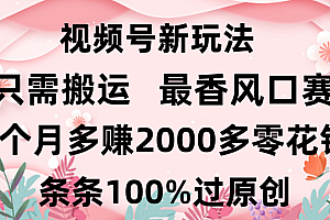 日入2000+,条条100%过原创,视频号最香风口赛道,小白轻松上手
