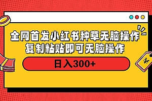 全网首发 小红书种草无脑操作复制黏贴即可 轻松日入300+