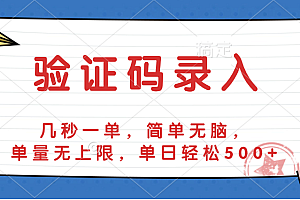 验证码录入,几秒一单,简单无脑,单量无上限,单日轻松500+