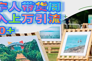 数字人带货周收入上万引流200+