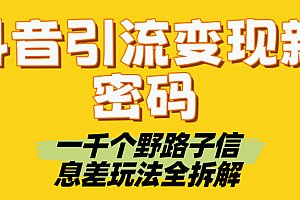 抖音引流变现新密码!一千个野路子信息差玩法全拆解