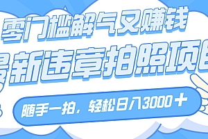 解气又赚钱的项目,随手一拍,轻松收入3000+,最新违章拍照赚钱