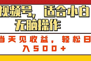 ai视频号,适合小白无脑操作,当天见收益,轻松日入500+
