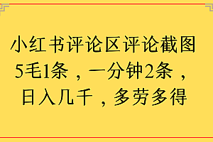 小红书评论区评论截图一分钟2条,日入几千,多劳多得