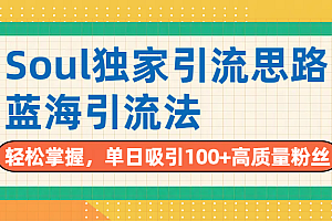 Soul独家引流思路,单日吸引100+高质量粉丝,蓝海引流法,轻松掌握