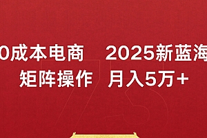 0成本电商2025新蓝海矩阵操作 月入5万+