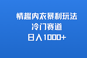 情趣内衣暴利玩法,冷门赛道,日入1000+
