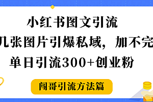 小红书图文引流,几张图片引爆私域加不完,单日引流300+创业粉