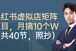 小红书虚拟店矩阵项目,月搞10W(共40节,照抄照做)