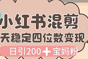 价值 3980 的小红书混剪, 虚拟变现,日引 200+宝妈创业粉,每天稳定四位数变现