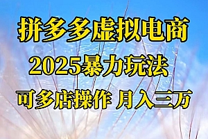 拼多多虚拟电商,不囤货不垫资的虚拟电商
