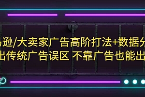 亚马逊/大卖家广告高阶打法+数据分析,走出传统广告误区 不靠广告也能出单
