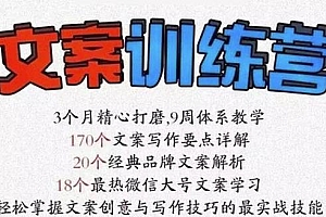 龙小天《文案训练营》全面系统解决文案写作难题!