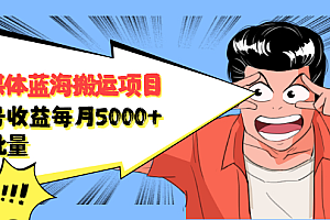 自媒体蓝海搬运项目,价值680元