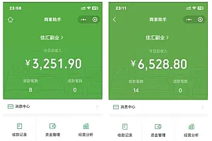 一千个野路子信息差24年最新玩法教程附带变现方法和引流的玩法具体拆解