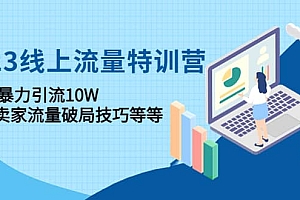 2023线上流量特训营:中小卖家流量破局技巧等等