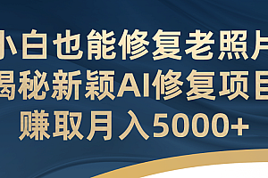 小白也能修复老照片!揭秘新颖AI修复项目,赚取月入5000+