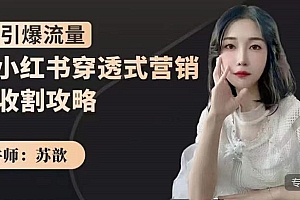 小红书穿透式营销收割攻略,引爆流量,助你玩转小红书