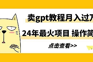24年最火项目,卖gpt教程月入过万,操作简单