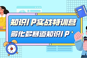 知识IP实战特训营,孵化-多赛道知识IP(33节课)