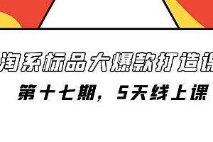淘系标品大爆款打造课-第十七期,5天线上课