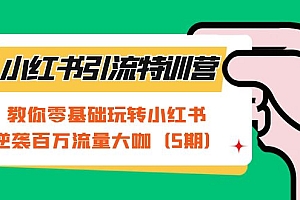 小红书引流特训营-第5期:教你零基础玩转小红书,逆袭百万流量大咖