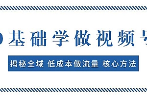 0基础学做视频号:揭秘全域 低成本做流量 核心方法  快速出爆款 轻松变现