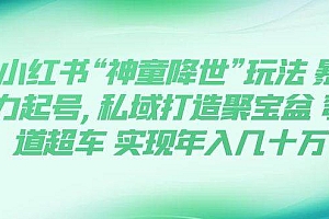 小红书“神童降世”玩法 暴力起号,私域打造聚宝盆 弯道超车 实现年入几十万