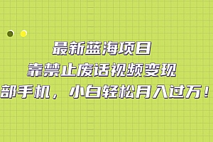 最新蓝海项目,靠禁止废话视频变现,一部手机,小白轻松月入过万!