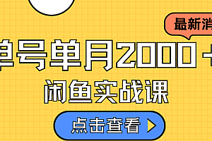 咸鱼虚拟资料新模式,月入2w+,可批量复制,单号一天50-60没问题 多号多撸
