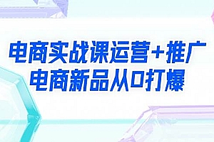 电商实战课运营+推广,电商新品从0打爆(99节视频课)
