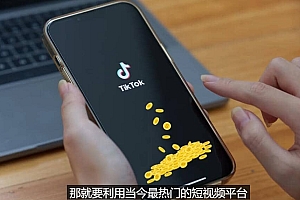TIKTOK海外赚钱项目:不需录制视频 只需简单的剪辑 月赚3000到5000美元