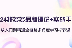 2024拼多多 最新理论+实战干货,从入门到精通全链路多角度学习-7节课