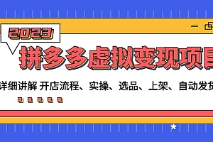 拼多多虚拟变现项目:讲解开店流程-实操-选品-上架-自动发货等(无水印)